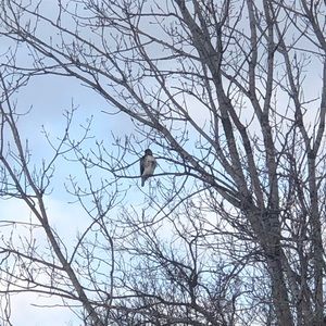 Meet your Posher, Sheila